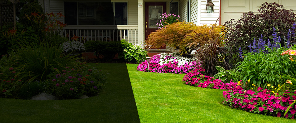 Montclair Landscapers